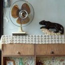 동남슈퍼문구 | 뉴욕 소문난기사식당 윤준우 최재우 대표 나이 프로필 크레이지 리치 코리안