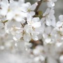 플러스한의원 이미지