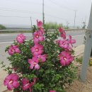 성환주유소