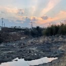 비로소, 겨울 하늘 이미지