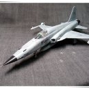 [Revell] 1/48 F-5E ROKAF 이미지