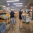 사러가플러스마트 이미지