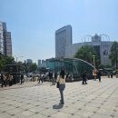 김앤정류마내과의원 | [임신기록] 임신 후기 32주 : 백일해 35000원에 맞기, 한국건강관리협회 송파 백일해 접종후기