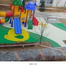 아암초등학교 이미지