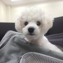 주식회사 오월 이미지