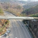 봉황교 이미지