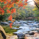 숲속의바다 숲속동 이미지