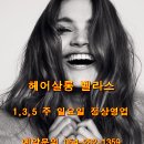 BELLACE(벨라스) 이미지