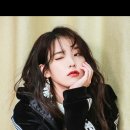 개, 이쁘다 이미지