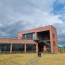 더멍멍컴퍼니 이미지