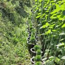 동근농장 이미지