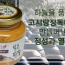 보은식품