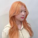 템드헤어룸