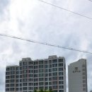 덕진-98 이미지