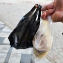 컴포즈커피 세종새롬점