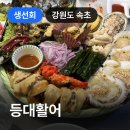 강원 속초 등대활어, 지인 추천으로 다녀온 2인 대게 해산물 회 세트 후기