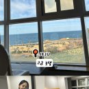 코쿤애월 | [제주 애월 숙소 추천] 내돈내산 코쿤호텔 가성비 오션뷰 숙박 후기