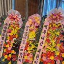 수원-0315 티스토리