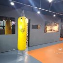 브레인복싱 이미지