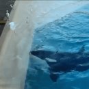 범고래PC 이미지