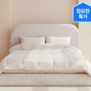 (주)금성개발 | [침대탐방기2] 신혼침대 추천, 에몬스 vs 킹코일 vs 금성 vs 씰리, 4대 브랜드 솔직 비교