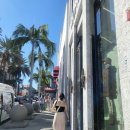 베버리힐스 | [La 여행 #6] 야자수가 가득한 베버리 힐스 여행 후기