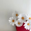 페이퍼플라워 힐링 클래스 이미지