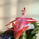 정산중학교 이미지