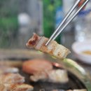 김해생고기 이미지