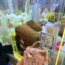 뽑기뽑기 | 검단 인형 뽑기 완정역 인형 뽑기 쥬쥬, 뽑기어때 후기