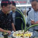 한국공판장 이미지