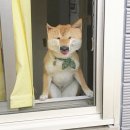 대창횟집