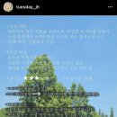 화요일의 지희