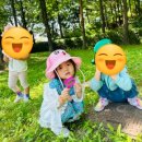 대진유치원 이미지