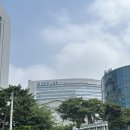 디오메디컬 이미지