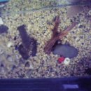 준혁이네집 이미지