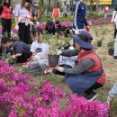 포항 연일초등학교 경북도민일보