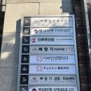 신사피부관리 삐땅기린뷰티 아쿠아필, 트랜스킨플라즈마 관리 후기