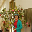 전남여자고등학교 이미지