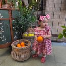 로즈앤캔디(flower cafe) | 호주 시드니 핫플 브런치 카페 추천 더 그라운드 오브 알렉산드리아 크리스마스 테마