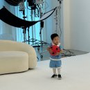 이아네 네이버블로그
