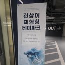 경기관상어 | 시흥 아쿠아리움 더베이54, 관상어 테마파크, 8월까지 오픈 특가 할인 진행 중