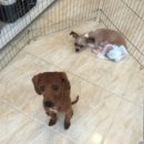 애니몰하우스 이미지