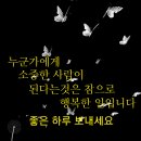 우리나라에서 최고 명의로 소문난 의사 리스트 이미지