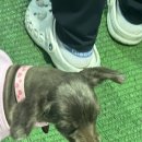 종만농장 이미지