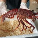 퍼밀