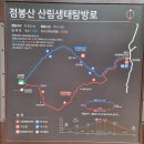 진동호 | [초보 등산] 점봉산 곰배령 예약 및 탐방 후기 / 설악산 국립공원
