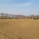 강일 농장 이미지