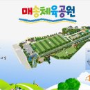 매송체육공원 농구장 이미지