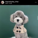 오늘도, 이쁘개 이미지